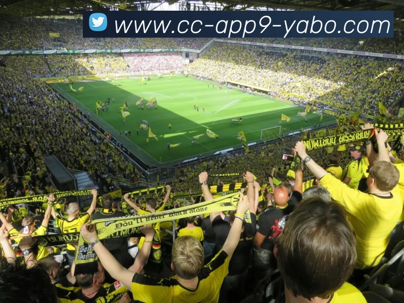 App 展示图